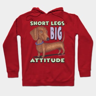 Cute Brown Doxie  with classic pose short legs big attitude Hoodie